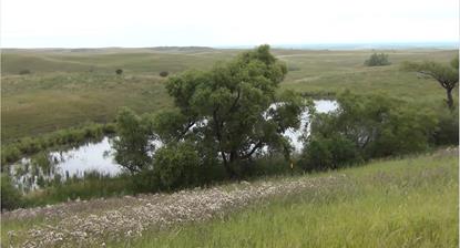 Pond in NE South Dakota